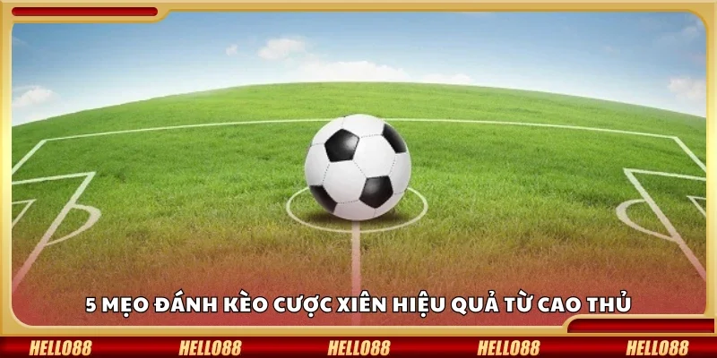 5 mẹo đánh kèo cược xiên hiệu quả