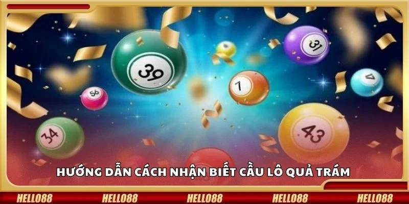 Hướng dẫn cách nhận biết cầu lô quả trám 