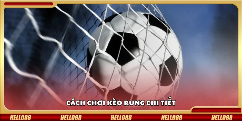 Nắm bắt cách chơi kèo rung chi tiết