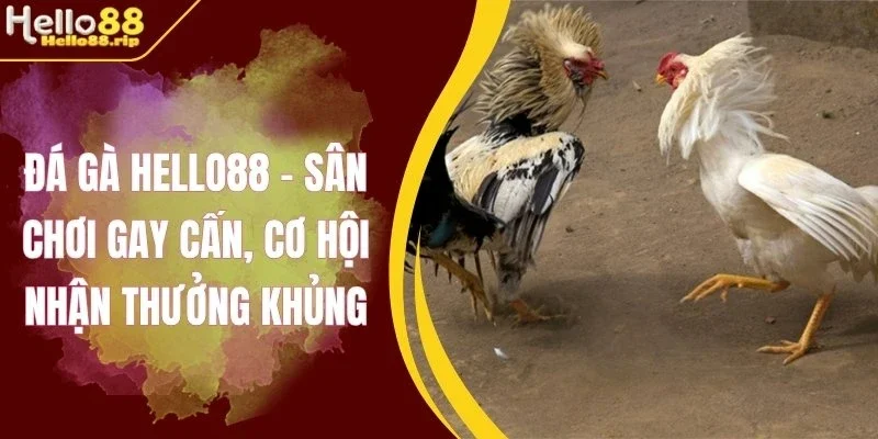 Sảnh cược hấp dẫn nhất khiến người chơi mê mẩn