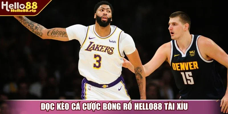 Đọc kèo cá cược bóng rổ Hello88 tài xỉu