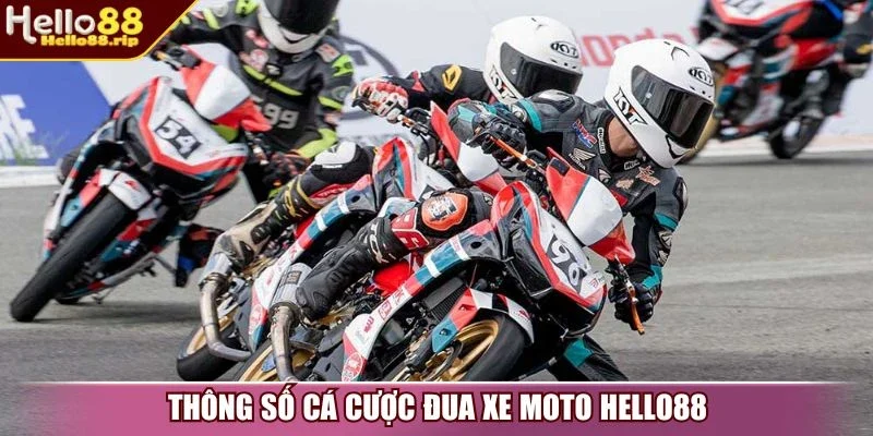 Thông số cá cược đua xe moto Hello88 