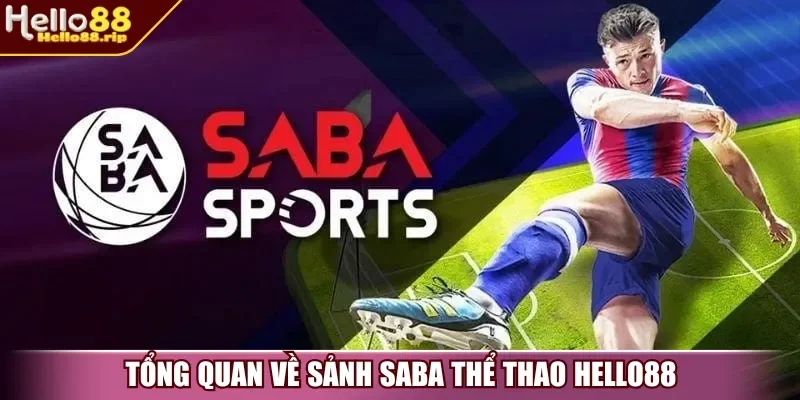 Tổng quan về sảnh SABA Thể Thao Hello88